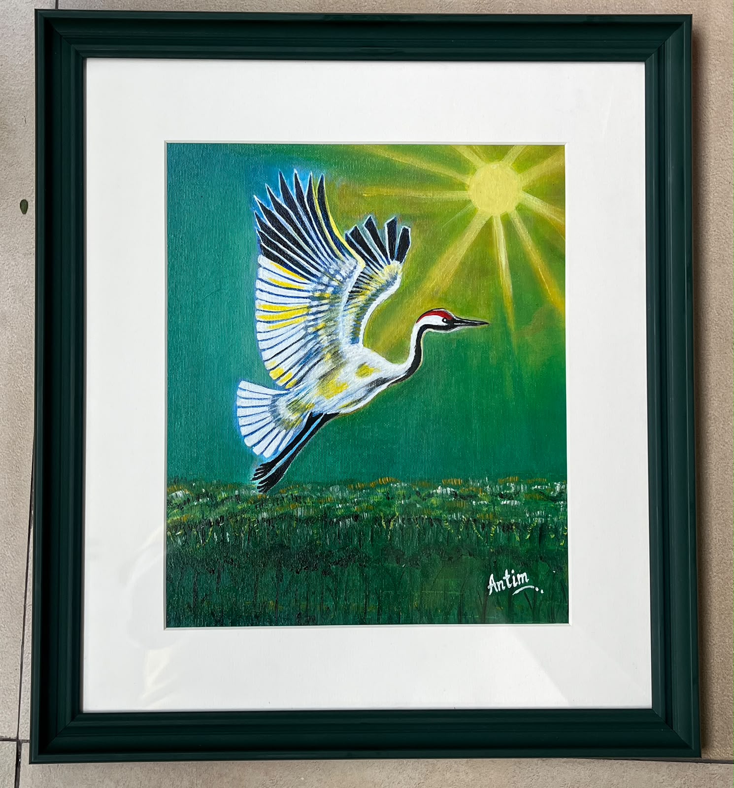 Wings of Freedom – A Crane in the Golden Sunlight
